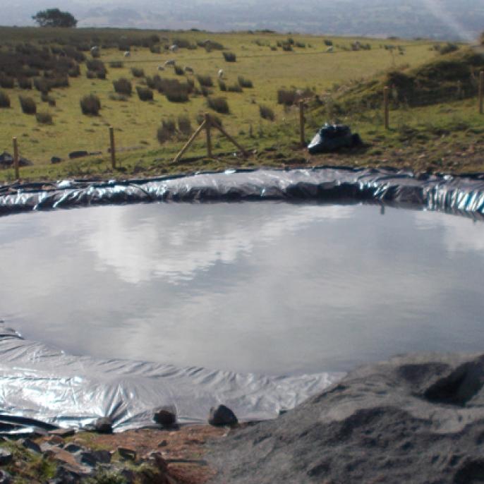 Newt receptor pool. 