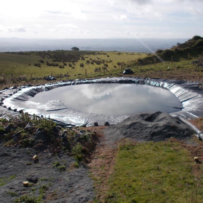 Newt receptor pool. 